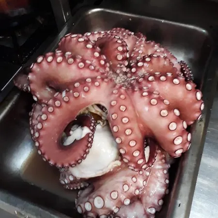 Alacatibutikotelim Çeşme